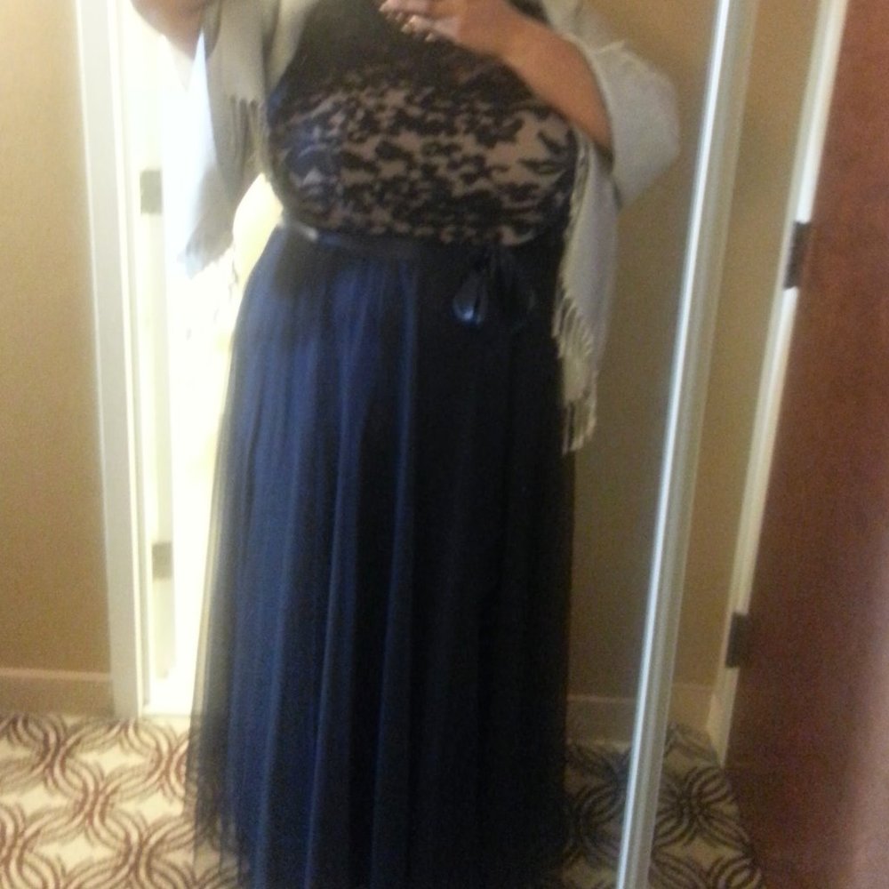 Alex Evenings Navy Blue Tulle Dress, Size 22W